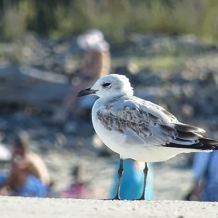 Aivazovsky Park Anchialos H14 Апартаменты