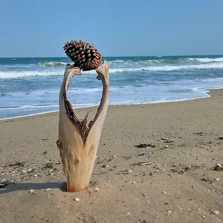 Aivazovsky Park Anchialos H14 بوموري