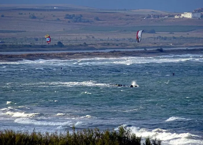 Aivazovsky Park Anchialos H14 포마리