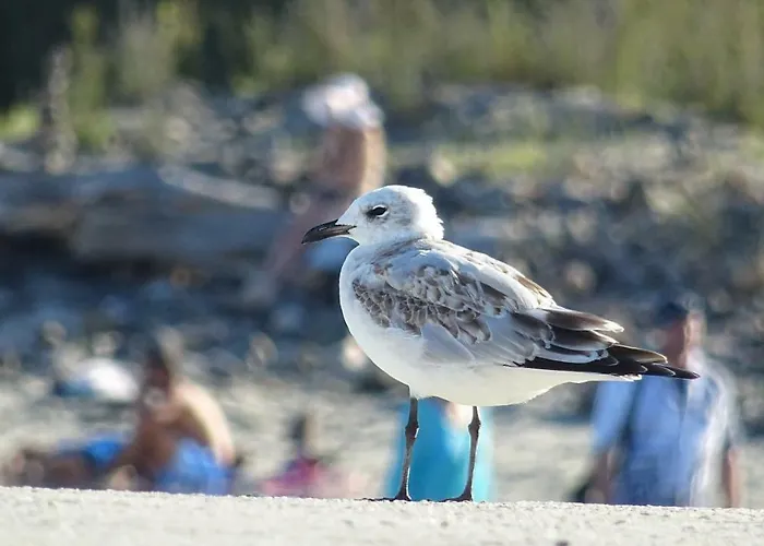 Aivazovsky Park Anchialos H14 Apartamento